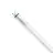 Philips Master Tube LED T8 (EM/Direct 230V) High Output T8 16.7W 3100lm - 840 Blanc Froid | 150cm - Équivalent 58W